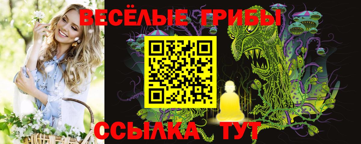 Галлюциногенные грибы GOLDEN TEACHER Советский